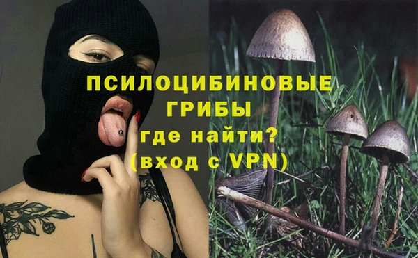 винт Баксан