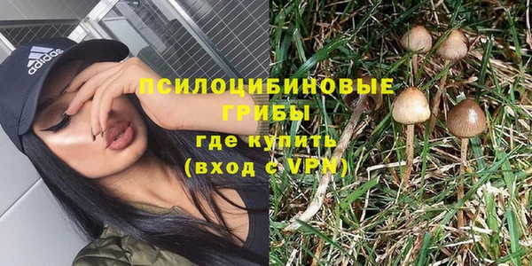 винт Баксан