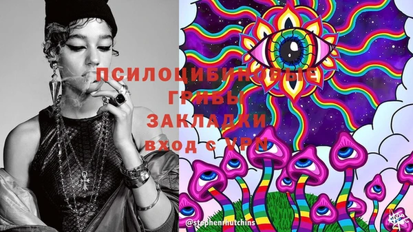 винт Баксан
