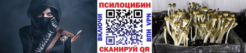 Галлюциногенные грибы мицелий Яблоновский